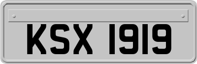 KSX1919