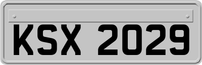 KSX2029