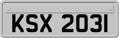 KSX2031