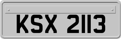 KSX2113