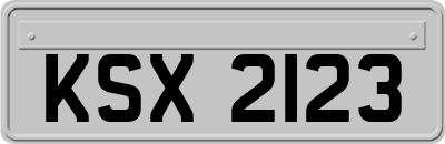 KSX2123