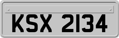 KSX2134
