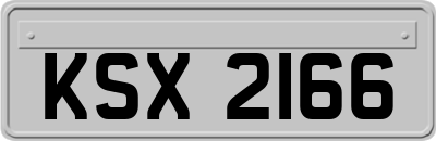 KSX2166