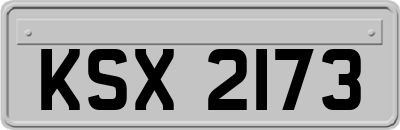 KSX2173
