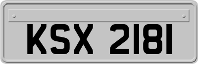 KSX2181
