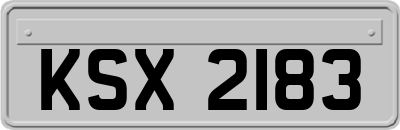 KSX2183