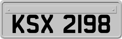 KSX2198