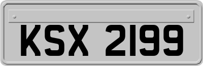 KSX2199