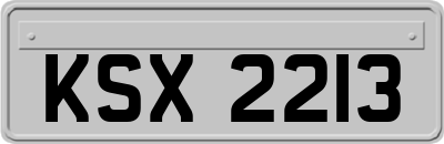 KSX2213