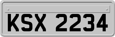 KSX2234