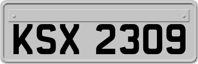 KSX2309