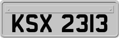 KSX2313