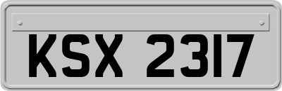 KSX2317