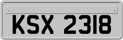 KSX2318
