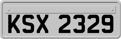 KSX2329