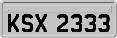 KSX2333