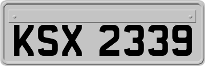 KSX2339