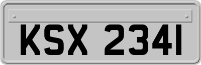 KSX2341