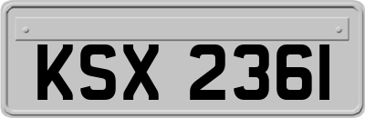 KSX2361
