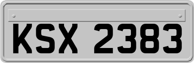KSX2383