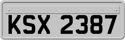 KSX2387