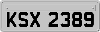 KSX2389