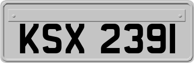 KSX2391