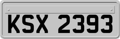 KSX2393