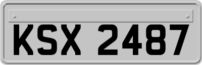 KSX2487