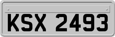 KSX2493