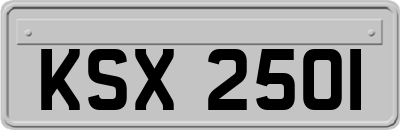 KSX2501