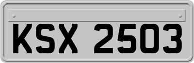 KSX2503