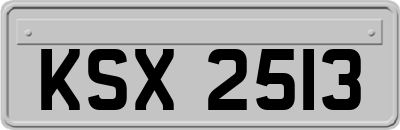 KSX2513