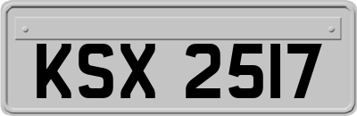 KSX2517