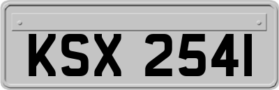 KSX2541