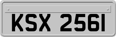KSX2561