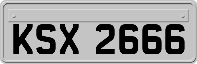 KSX2666