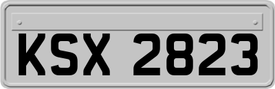 KSX2823