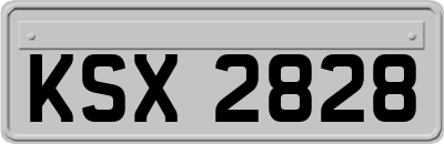 KSX2828