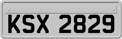 KSX2829