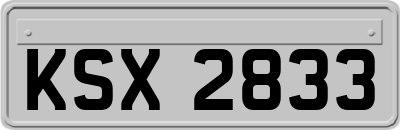 KSX2833