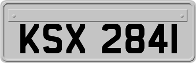KSX2841