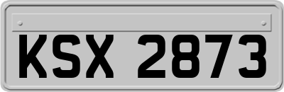 KSX2873