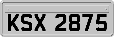 KSX2875