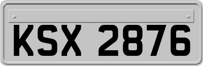 KSX2876