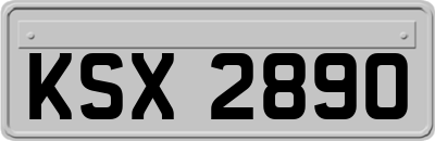 KSX2890