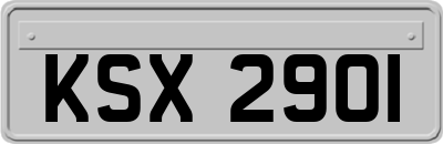 KSX2901