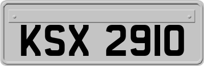KSX2910