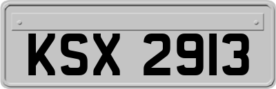 KSX2913