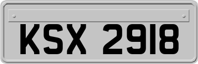 KSX2918